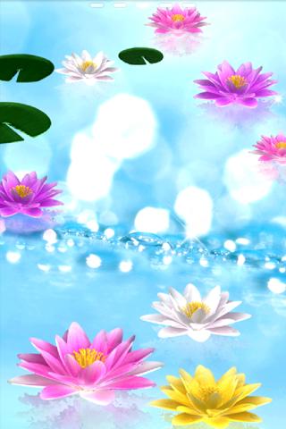 【免費個人化App】Water Lily Bell LiveWallpaper-APP點子