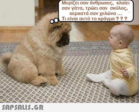 Μυρίζει σαν άνθρωπος, κλαίει σαν γάτα, τρώει σαν σκύλος, περπατά σαν χελώνα Τι είναι αυτό το πράγμα ? ? ? 
