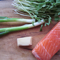 Salmon Potstickers
