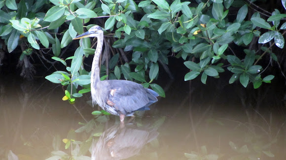 Spotting Image 1