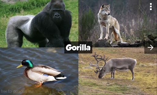 How to download Zoo Animals Guessing Game lastet apk for android
