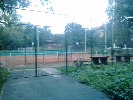 Teren Tenis Subarini