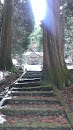 大内神社(利寿権現) 巨木の石段