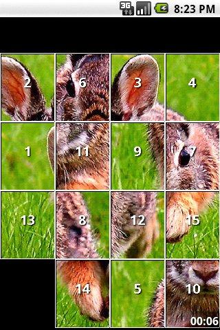 Rabbit Puzzles