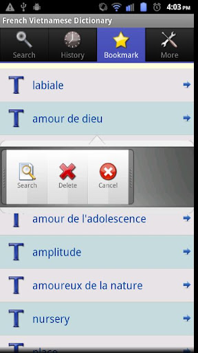 【免費書籍App】French Vietnamese Dictionnary-APP點子