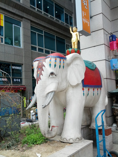 코끼리와 부처