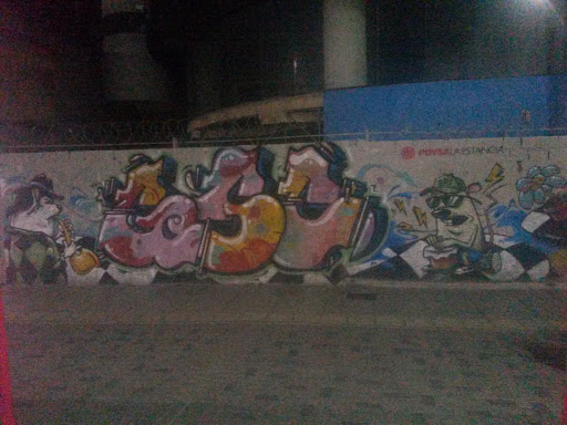 Graffiti Pdvsa La Estancia