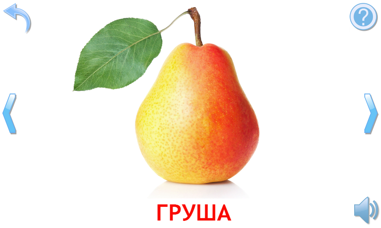 Поделки и картинки из овощей и фруктов Поделки и картинки из овощей и фруктов
