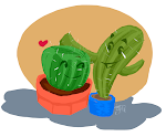 Cacti buddies