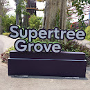 Supertree Grove