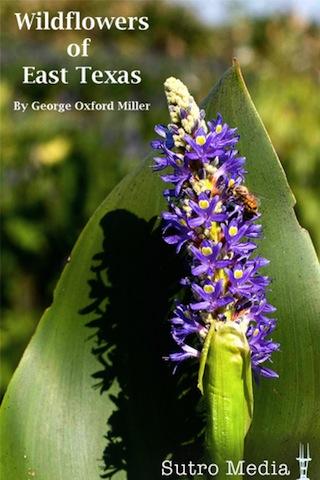 Wildflowers of East Texas