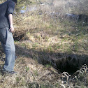 Remnants of Beaver House