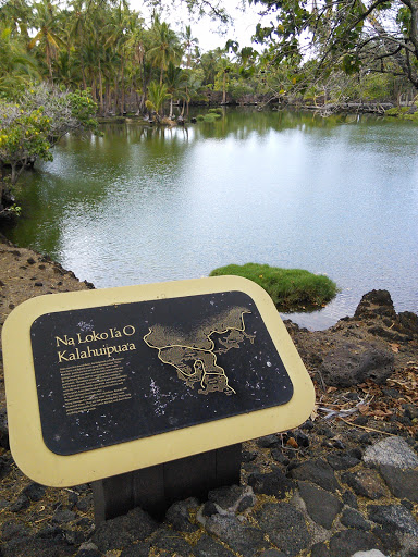 Kalahuipua'a Fish Ponds
