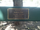 Anthony Finn Memorial