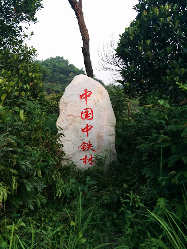 中铁林
