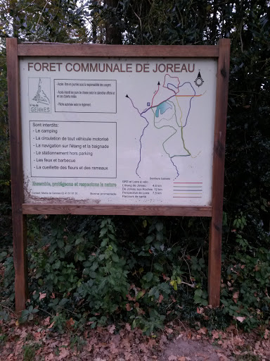 Forêt Communale de Joreau