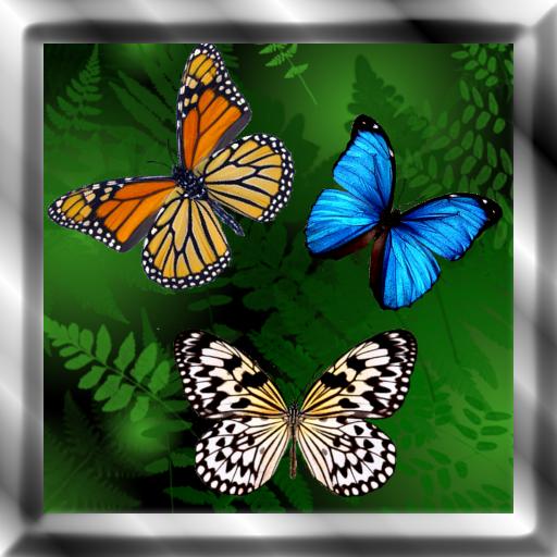 Butterfly Live Wallpaper LOGO-APP點子