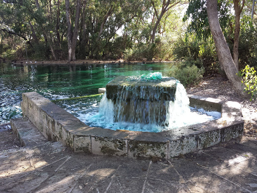 Tuart Park Fountain