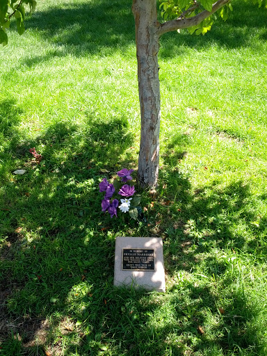 Phyllis Marberry Memorial