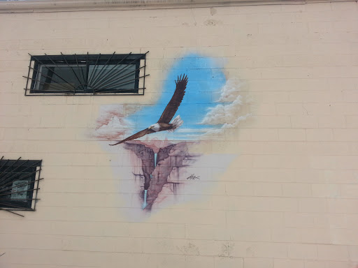 Bald Eagle Mural