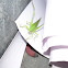 grasshoper