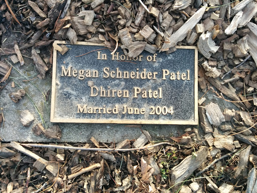 Megan Schneider Patel Honorary Plaque