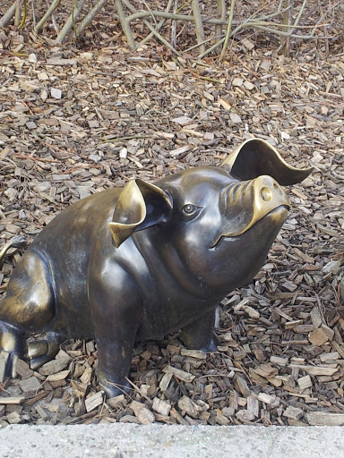 Pig Sculpture Heidelberg Zoo