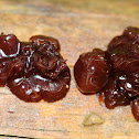 Exidia sacharina