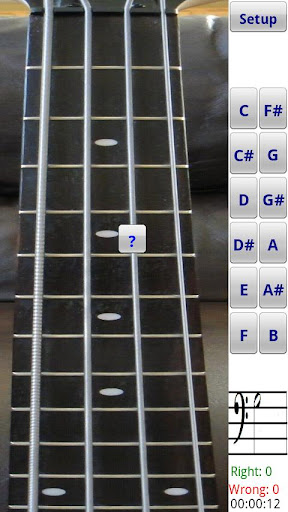 Bass Fretboard Addict