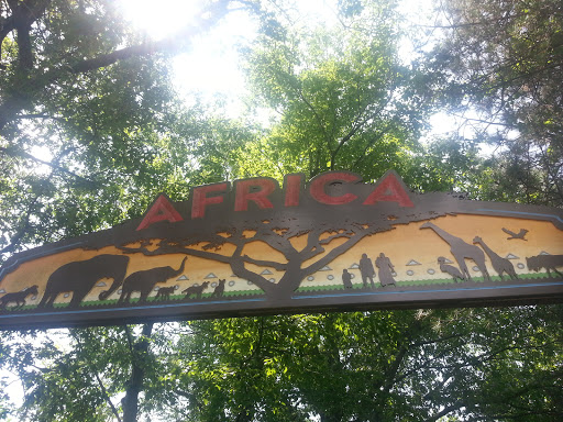Africa At Roger Williams Zoo