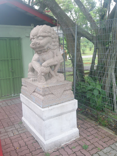 Lion Guardian of Chinese Garden