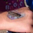Kids Discoveries of Ontario