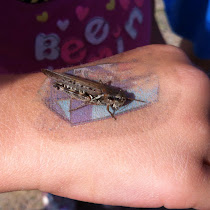 Kids Discoveries of Ontario