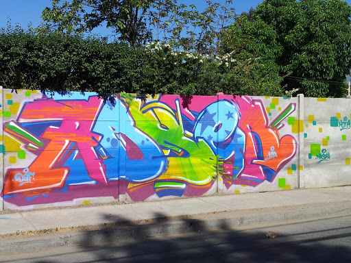 Grafiti Multicolor Luis Matte