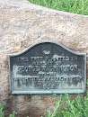 George Washington Memorial Tree