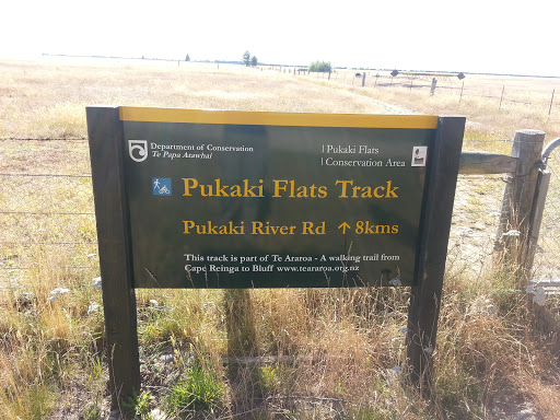 Pukaki Flats Track