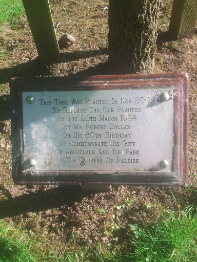 Robert Dollar Tree Park