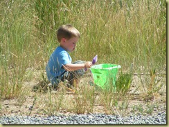 summer 2008 015