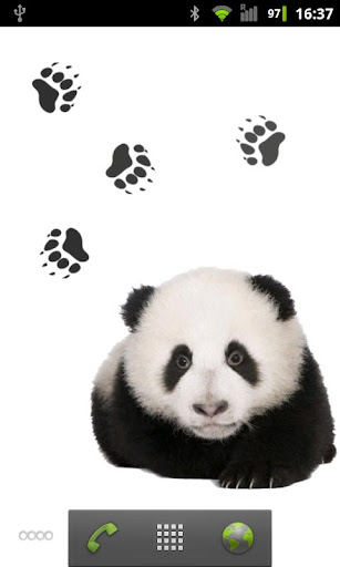 Panda chub live wallpaper