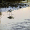 LG - DSC03596.jpg