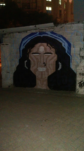 Valencia Wall Mural 