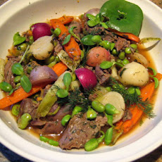 Lemony Braised Lamb Shanks and Spring Root Vegetable Stew with Fresh Dill