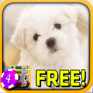 3D Cute Puppy Slots - Free.apk 1.0