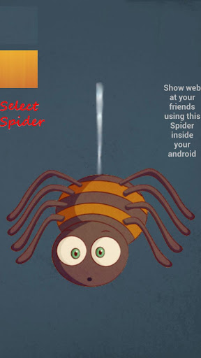Spider Web Shot