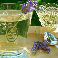 Provence Lavender Cordial-Syrup