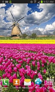 How to install Windmill Tulip Garden LWP 26 mod apk for pc