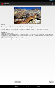How to mod Weasel Program 1.3 apk for bluestacks