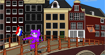 Cat On a Bike In Amsterdam