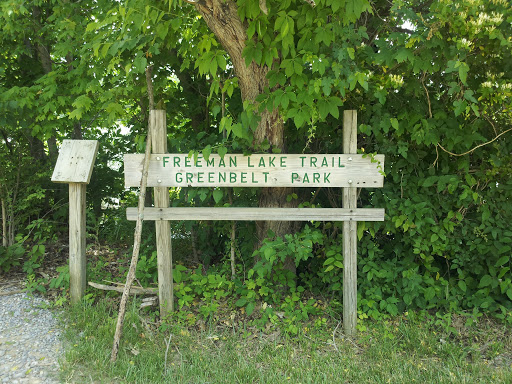 Freeman Lake Trail Greenbelt Park