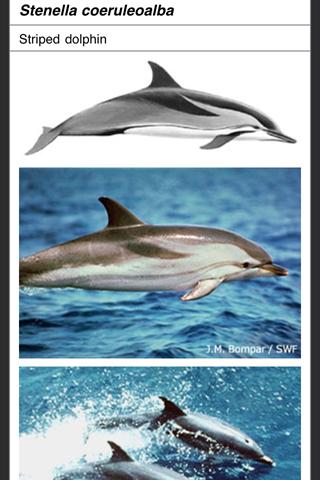 Marine Mammals of the World